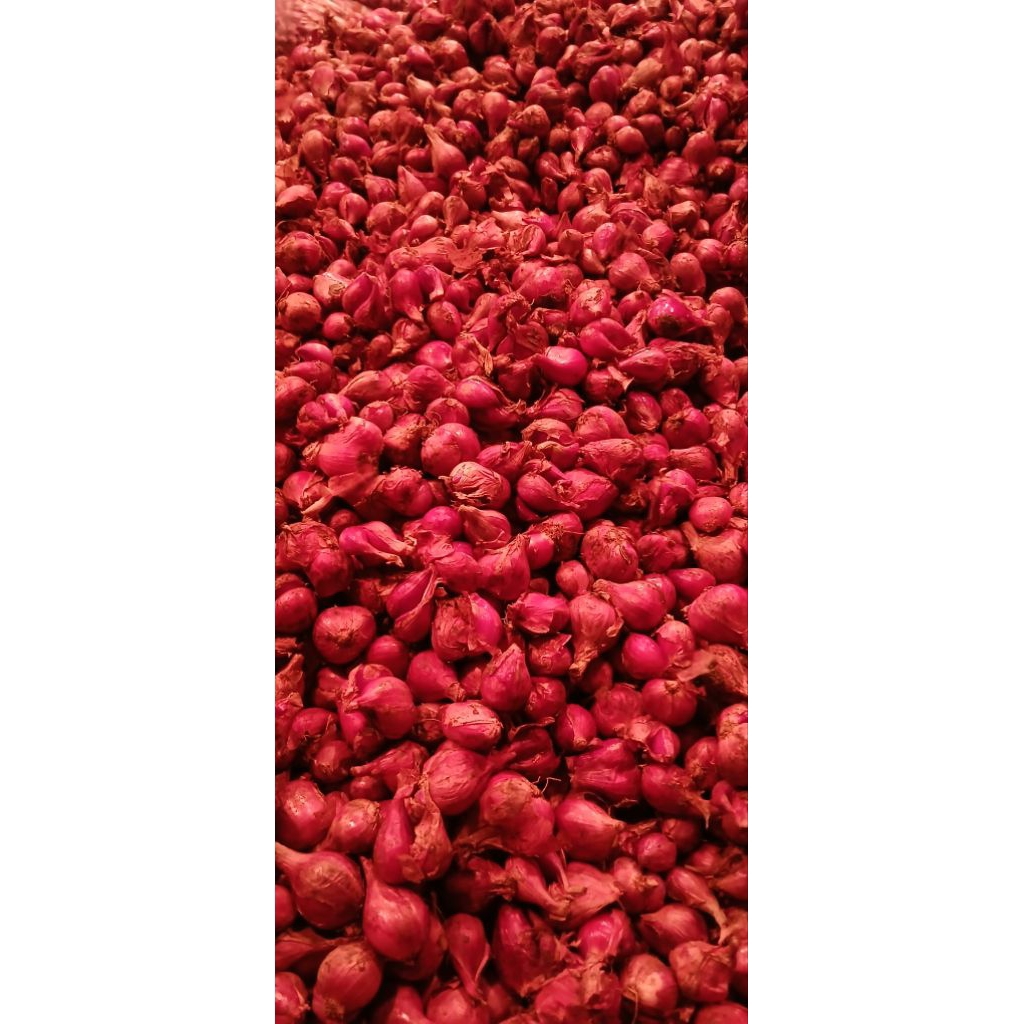 

Bawang merah super 500 gram