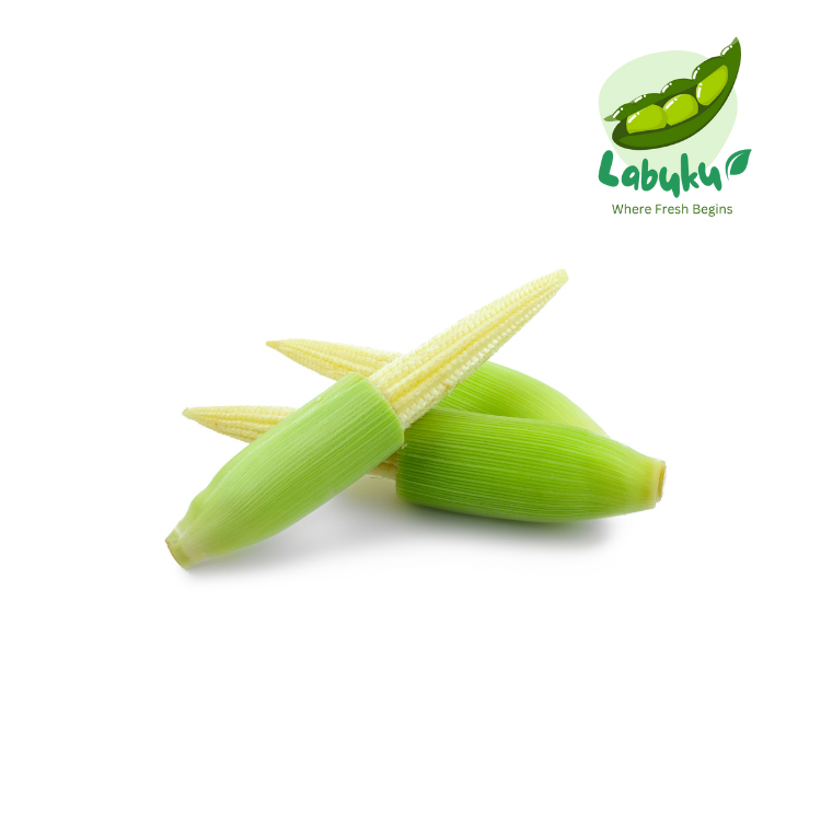 

Labuku – Jagung Muda / Putren Segar Premium Lokal