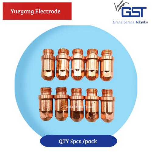 Yueyang Electrode Plasma YGX100