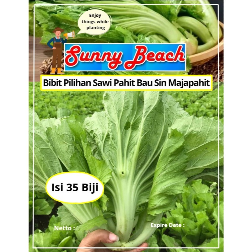 Bibit Pilihan Sawi Pahit Bu Sin Majapahit | Biji Benih Sawi Pahit Bu Sin | Sawi Pahit Bu Sin