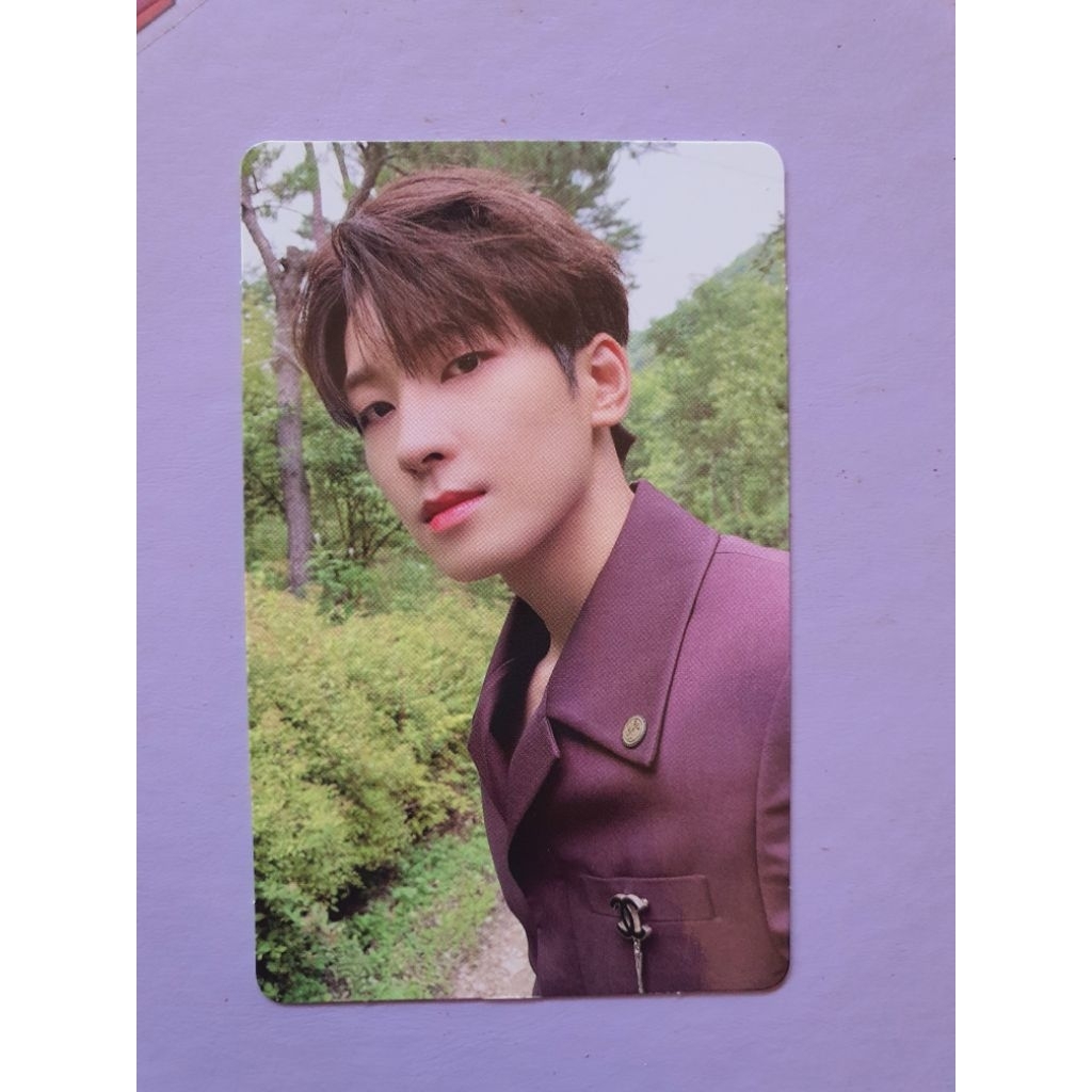 Seventeen Wonwoo Soco