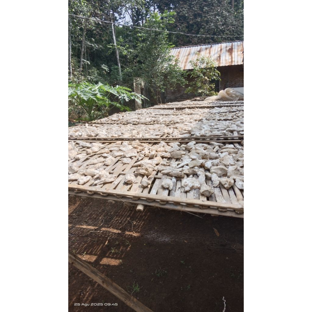 

Gatot singkong original 1kg