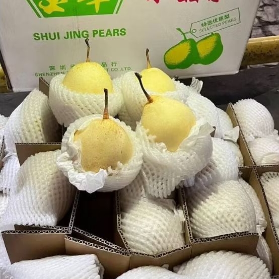 

BUAH PEAR SWEET YAK LIE 1kg