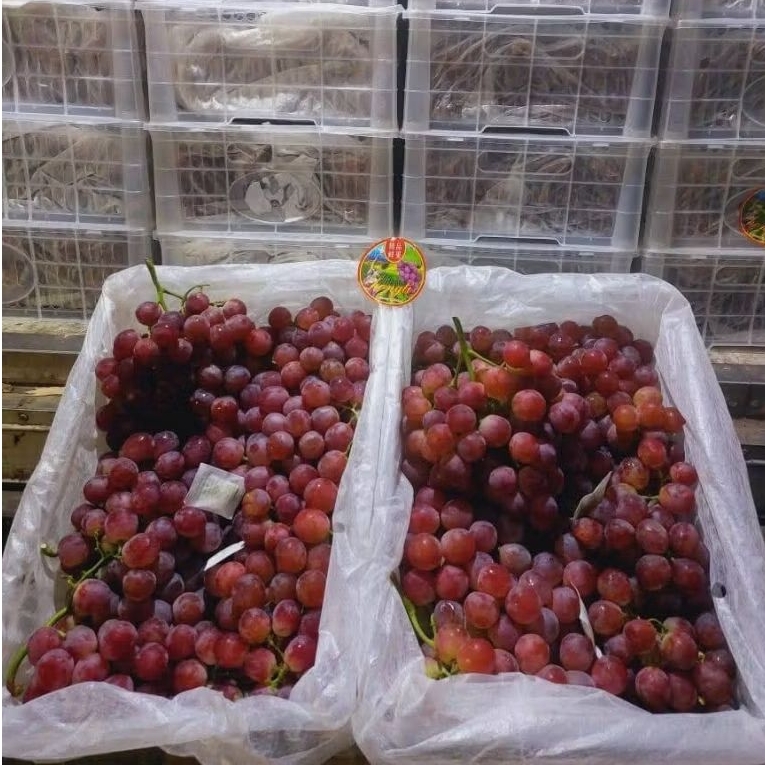 

ANGGUR RED GLOBE CHINA 1 KERANJANG 6kg