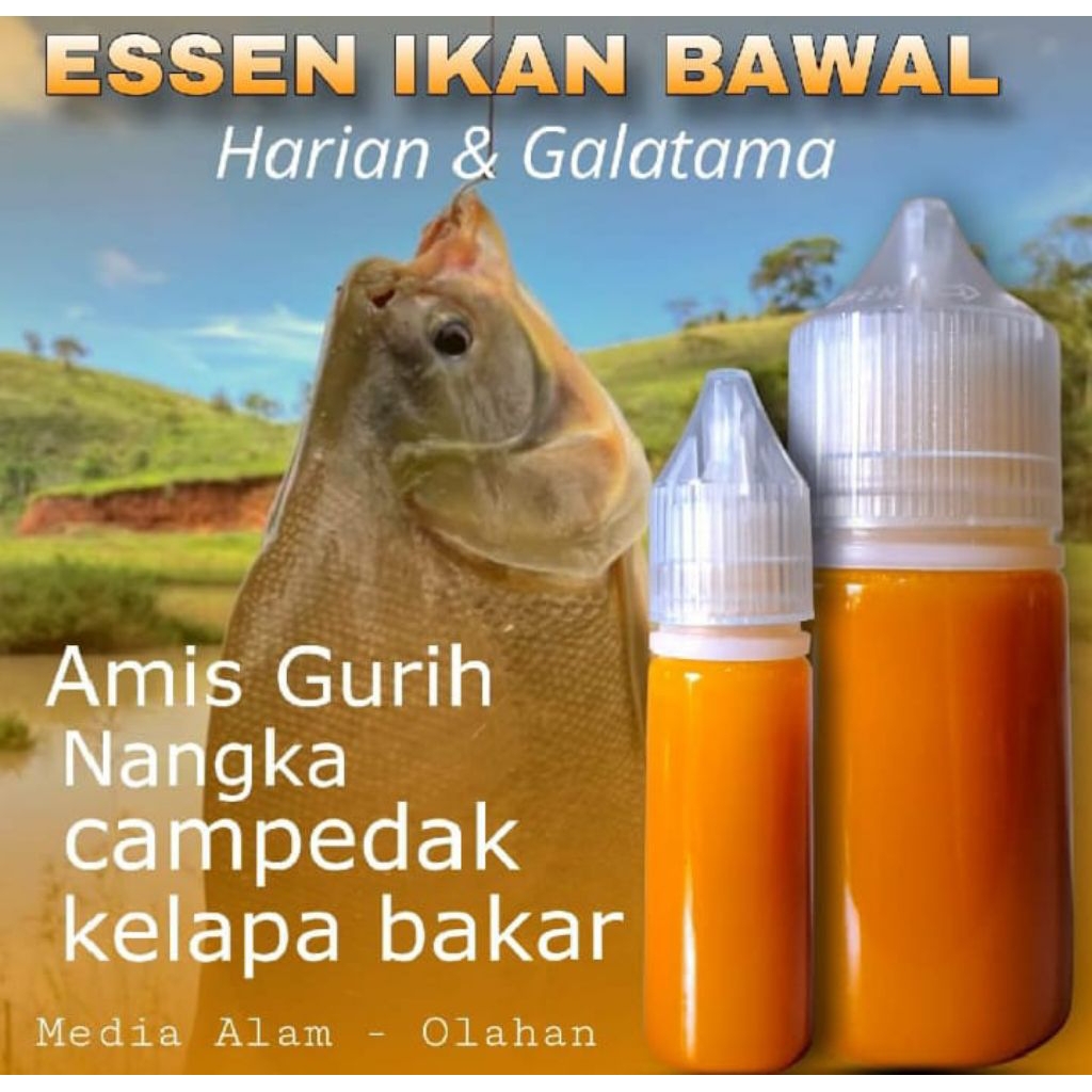ESSEN OPLOSAN IKAN BAWAL AROMA AMIS GURIH NANGKA CAMPEDAK KELAPA BAKAR