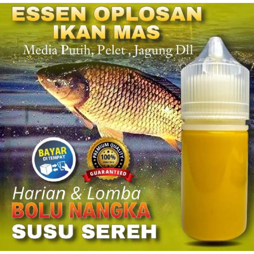 Essen oplosan ikan mas aroma bolu nangka susu sereh