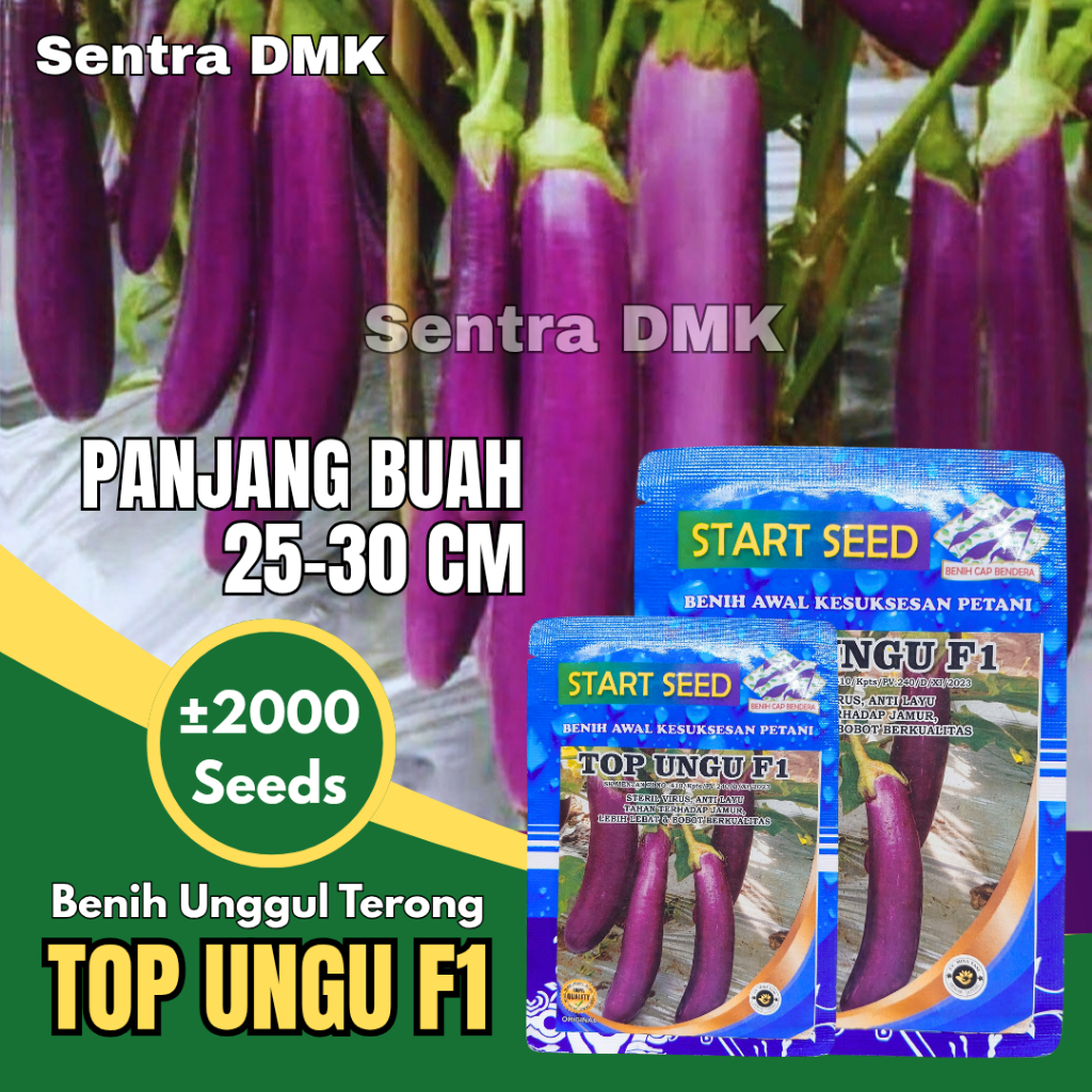 Benih Terong TOP UNGU F1 Panjang | bibit unggul sayur terong ungu besar panjang anti virus 10gram