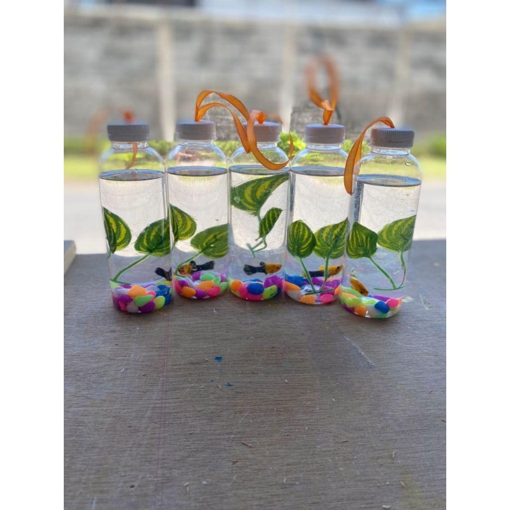 aquarium ikan hias botol murah