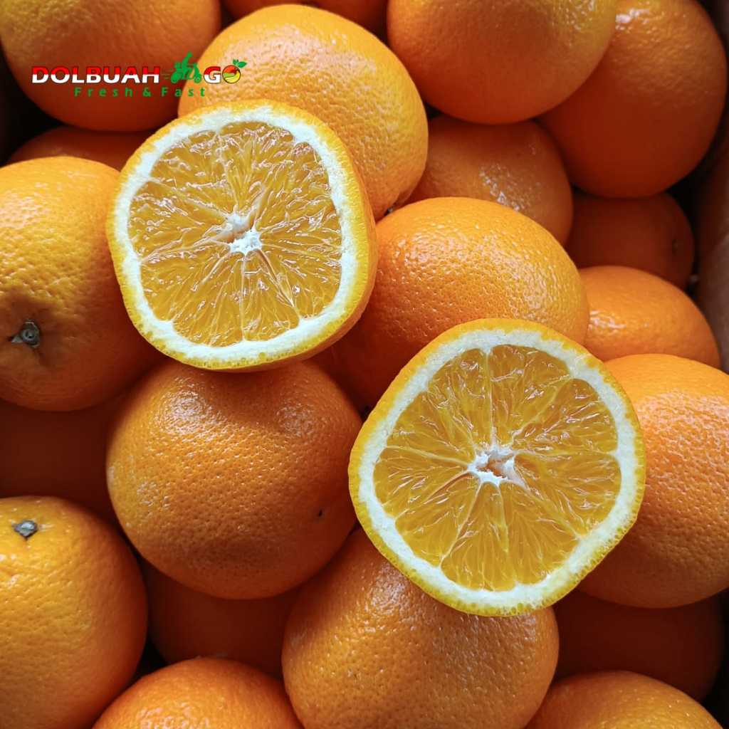 

Jeruk Sunkis Valencia Manis Segar - INSTAN SEMARANG - DolBuah