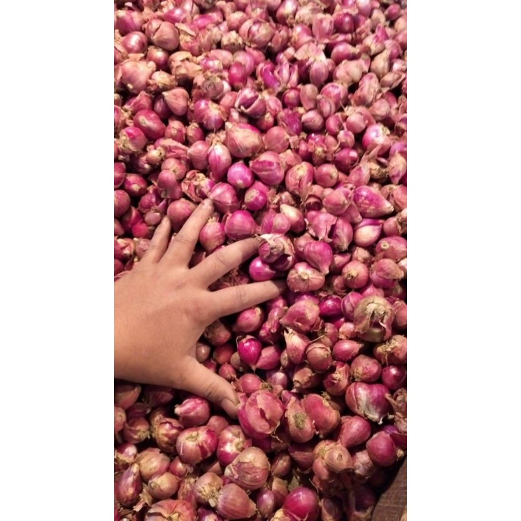 

Bawang merah 500gr