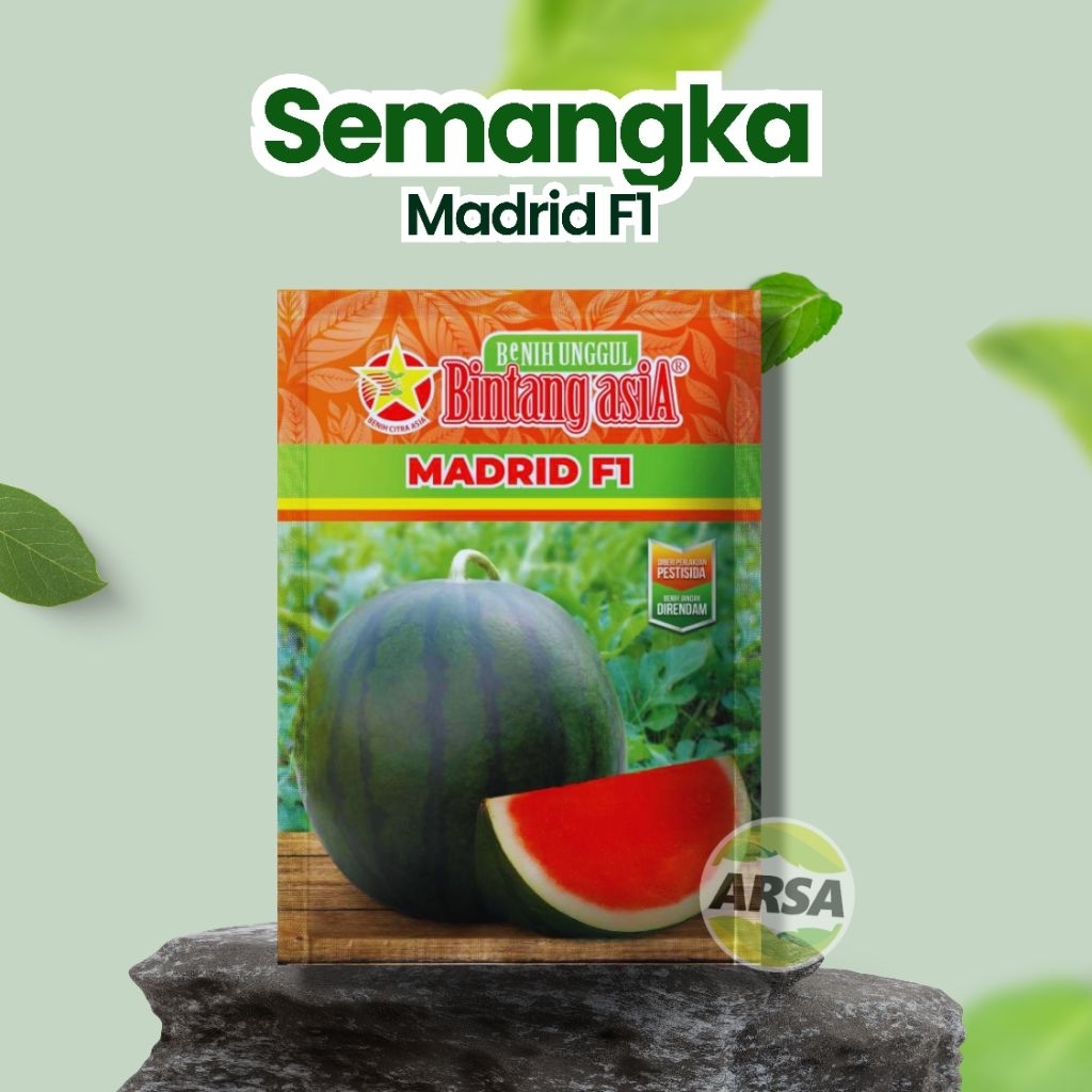 Benih Semangka Madrid F1