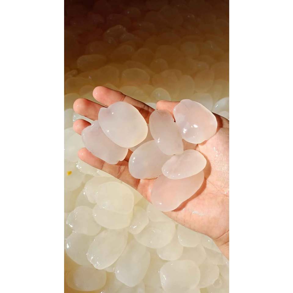 

Kolang kaling/Buah atep/Kolang kaling fresh