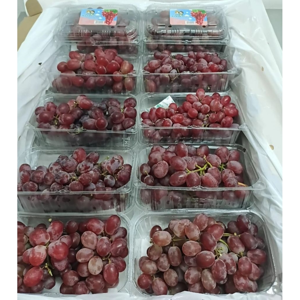 

ANGGUR RED CRIMSON PACK 500 GR