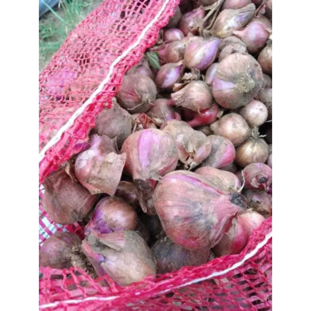

Bawang Merah Super 500g