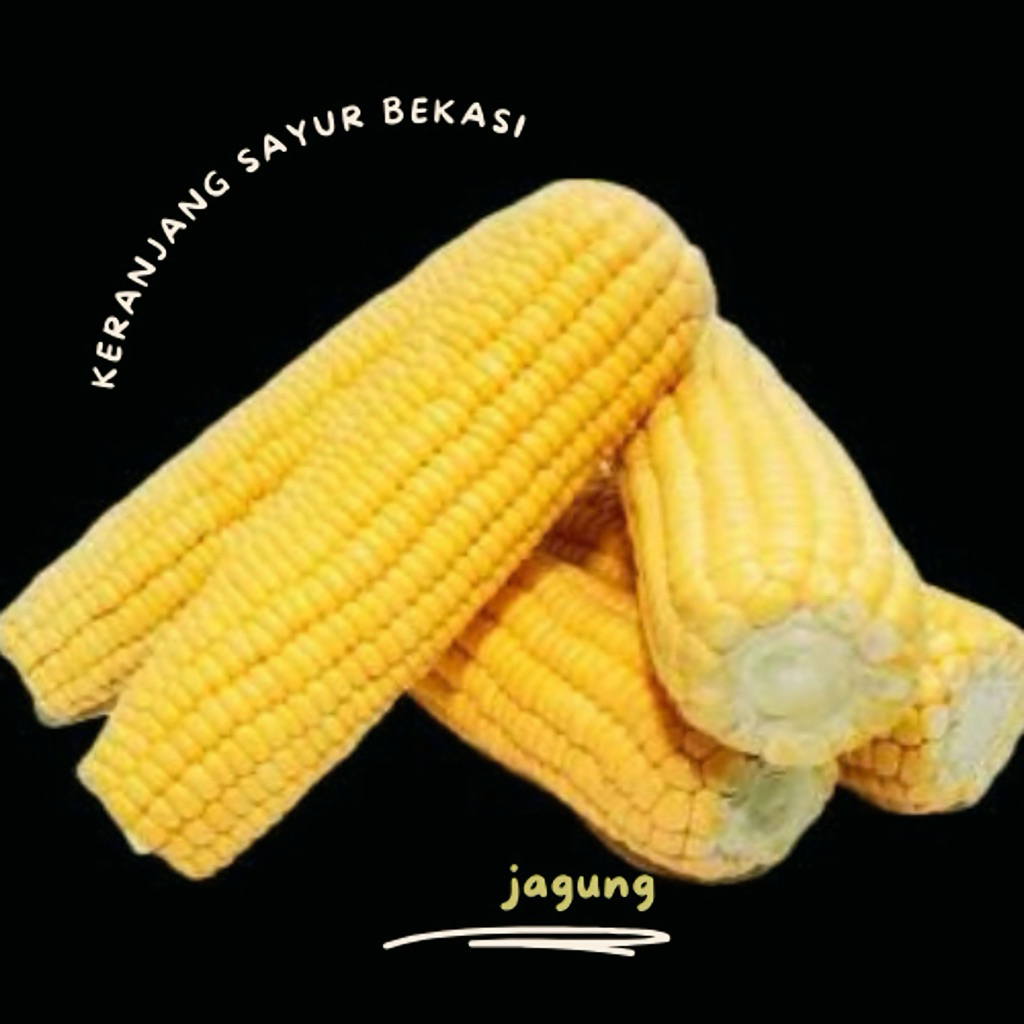 

jagung 1 buah / keranjang sayur bekasi