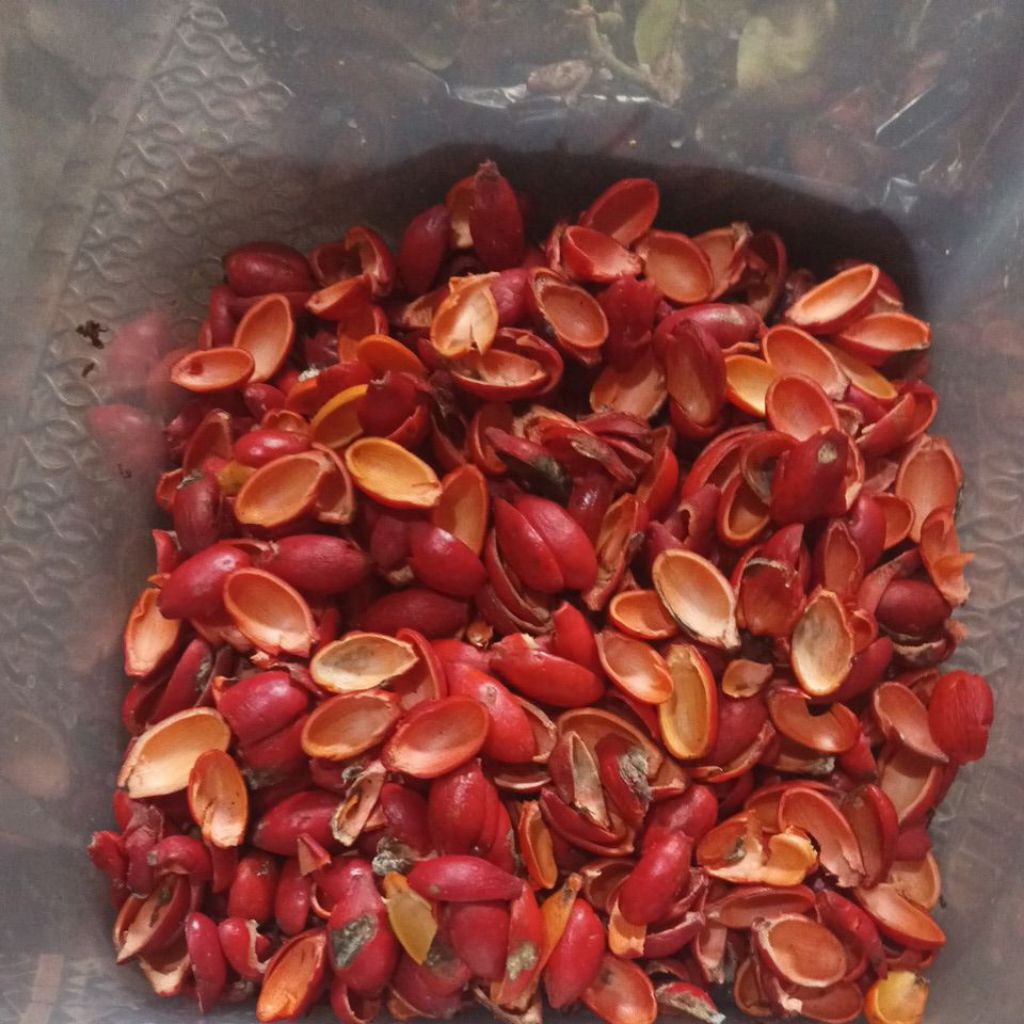 

kulit melinjo pedas manis 500 gram