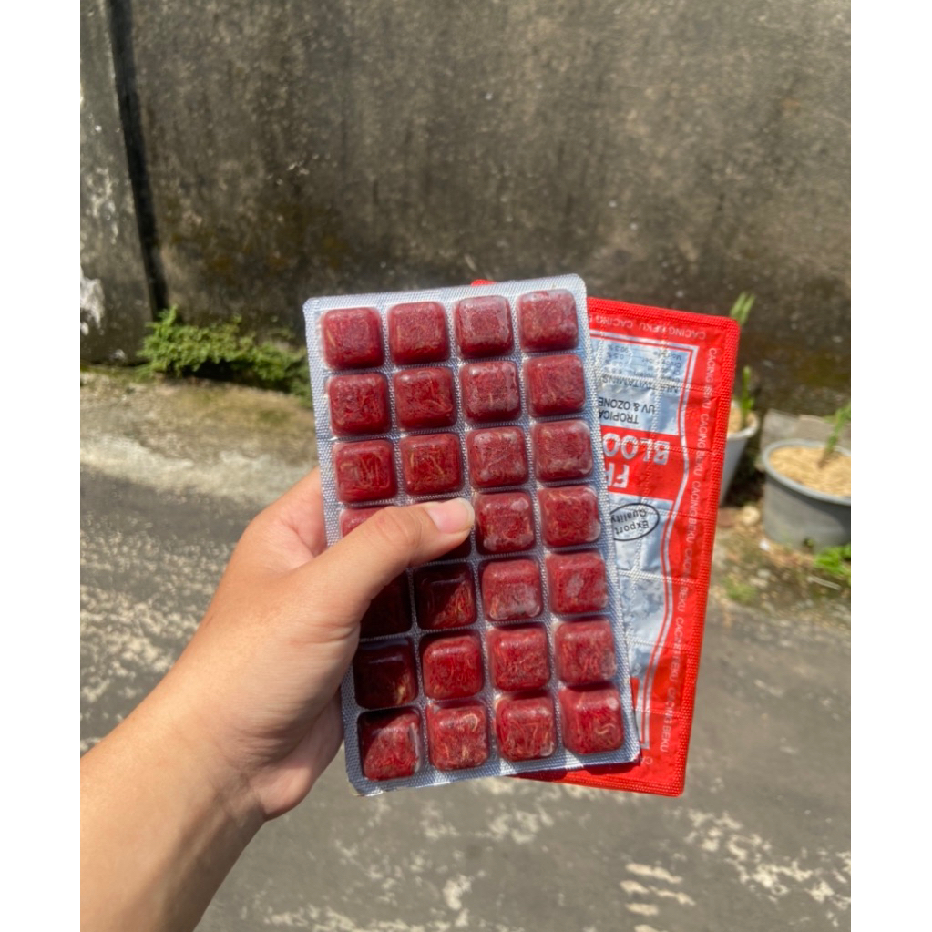 cacing beku happy||cacing darah||makanan ikan||