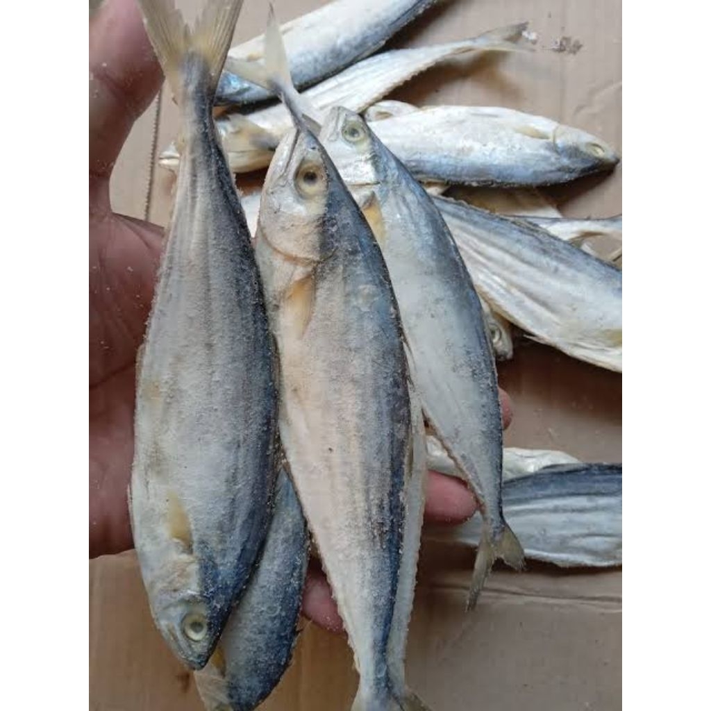 

ikan asin wais / tengiri fresh