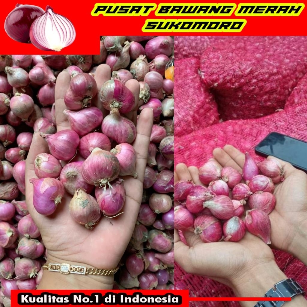 

1KG BAWANG MERAH SUKOMORO BERKUALITAS
