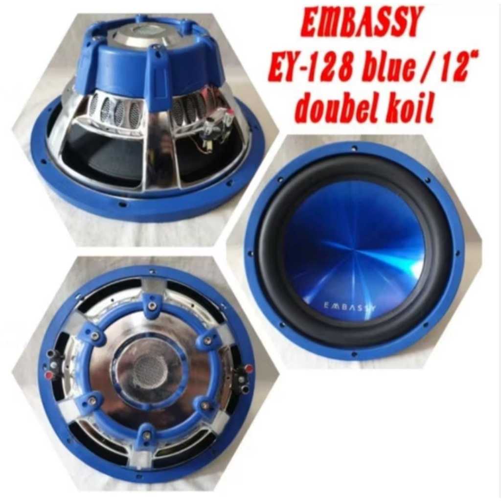 Embassy 12 Inch Subwoofer Ey128