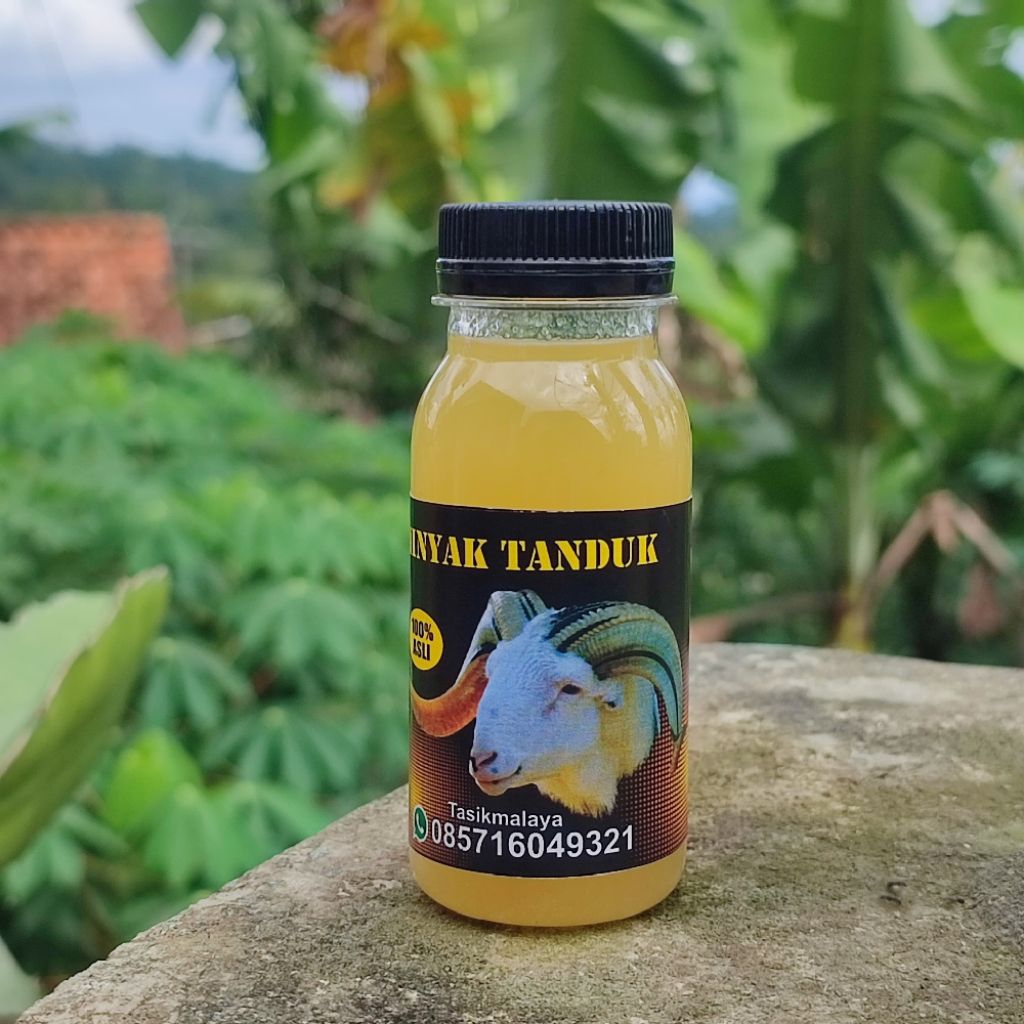 Minyak Biyawak|Penyubur Tanduk Domba Garut Asli Lemak Biyawak isi 60ml