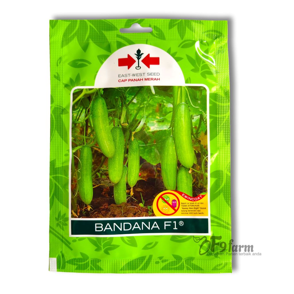 Benih Timun Bandana Mentimun Lalap lalab 175 Biji Cap Panah Merah