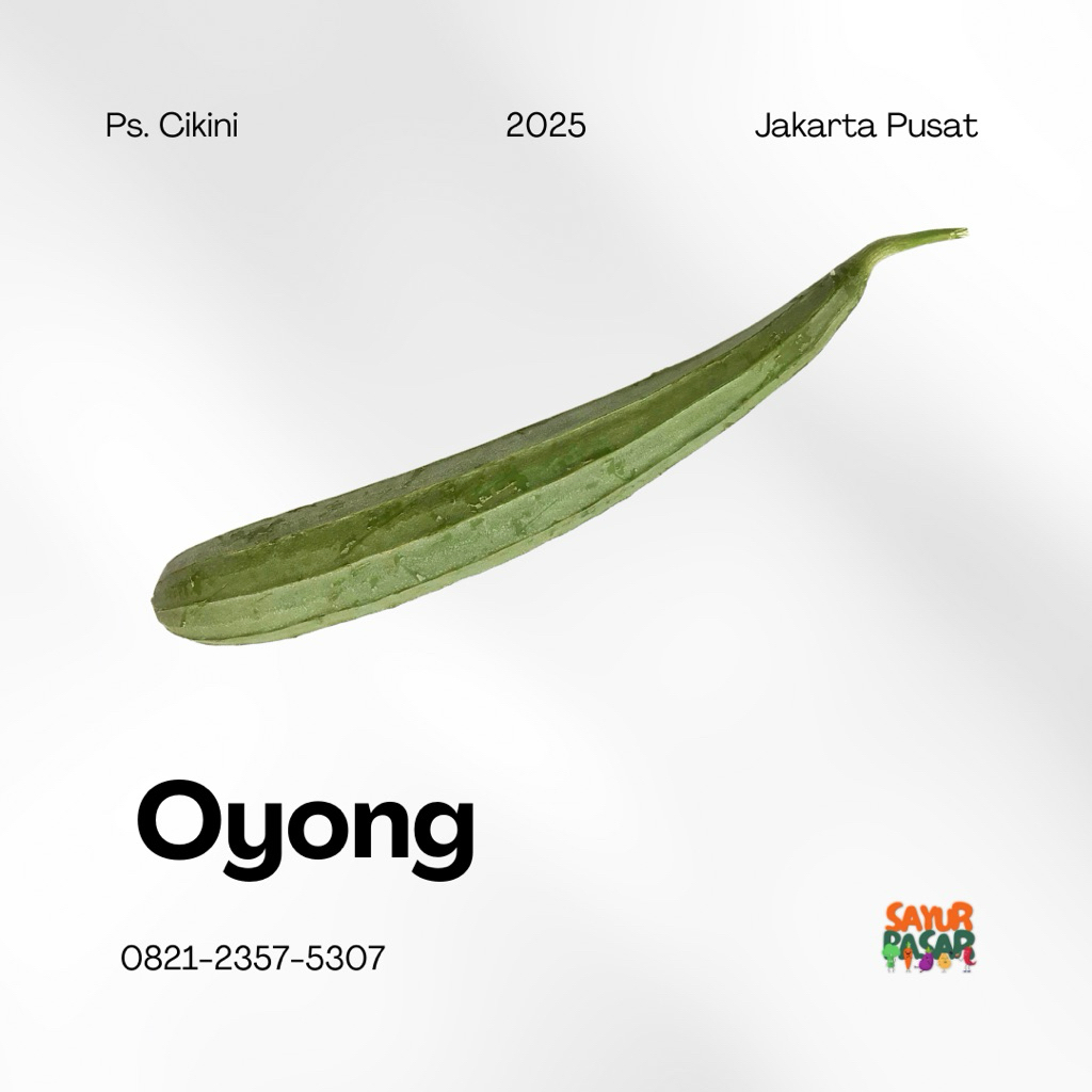 

Oyong / Gambas Segar – 500gr