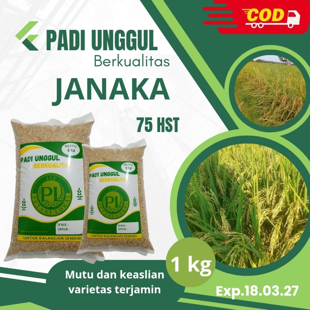

BIBIT UNGGUL BERKUALITAS GENJAH PADI JANAKA KEMASAN 1KG