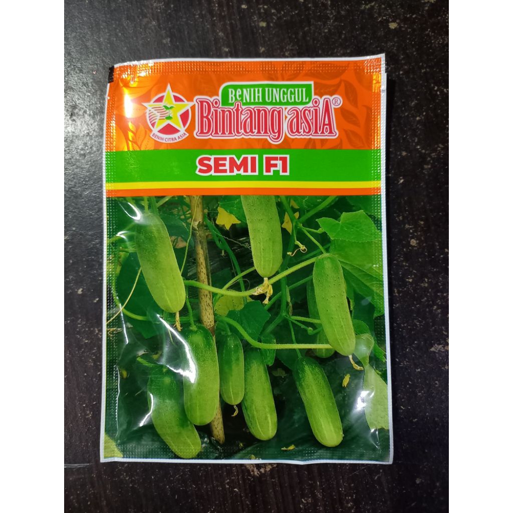 Benih Timun Baby SEMI F1 Bintang Asia