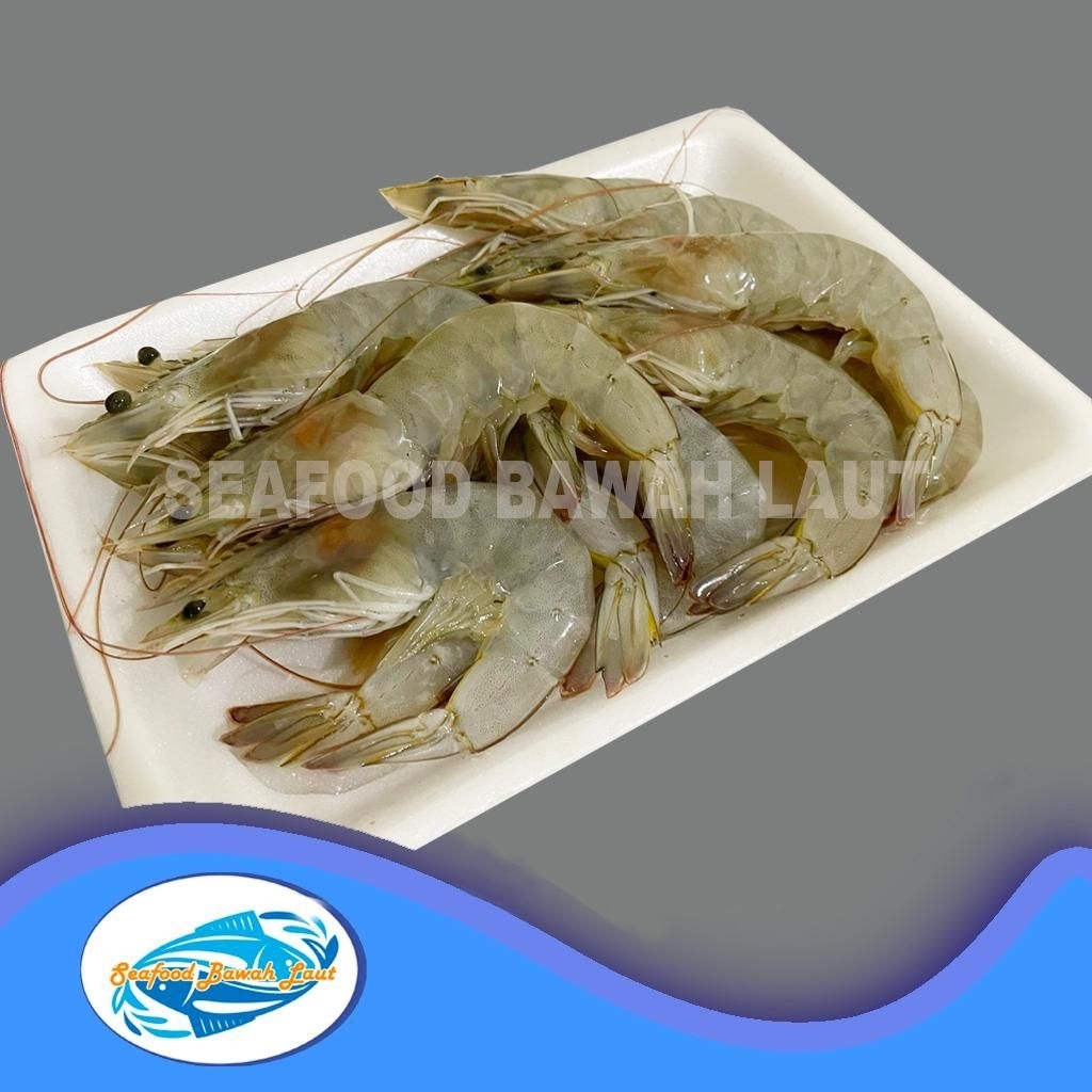 

Udang Vaname Ukuran Sedang (1kg isi 80/82 ekor)