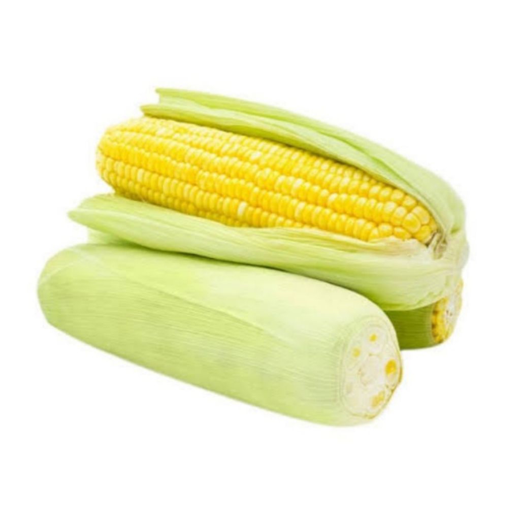 

JAGUNG MANIS PACK ISI 2 BIJI