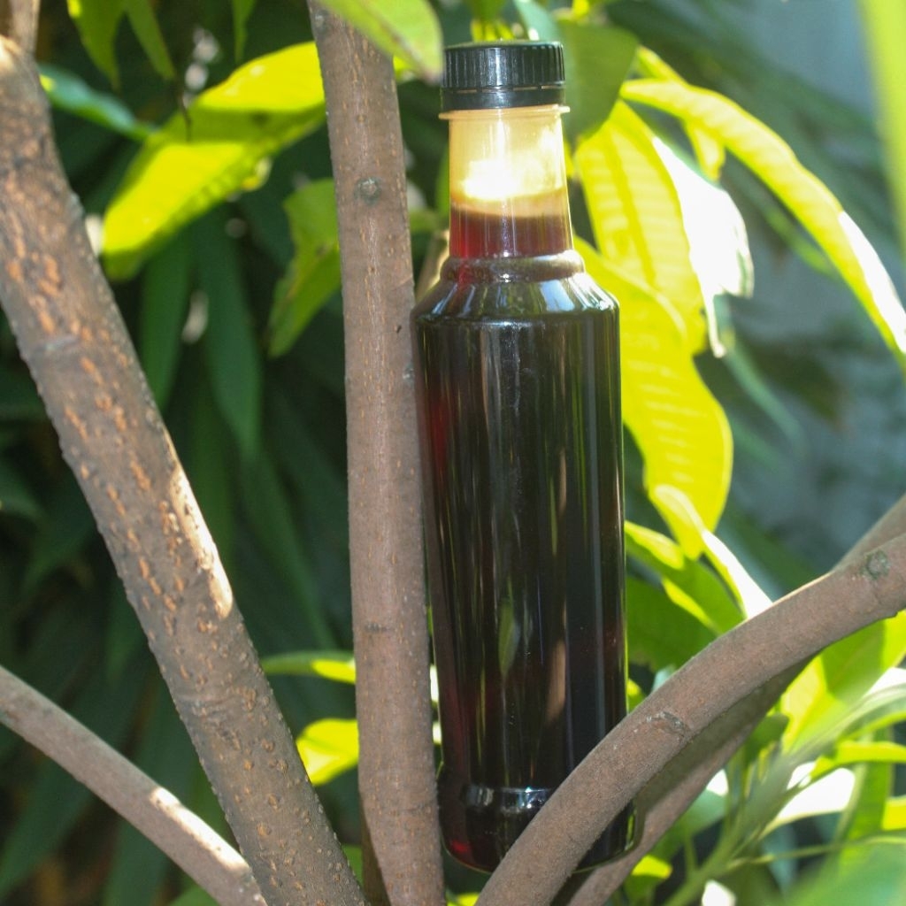 

Madu Akasia dan Madu Randu Asli isi 500ml