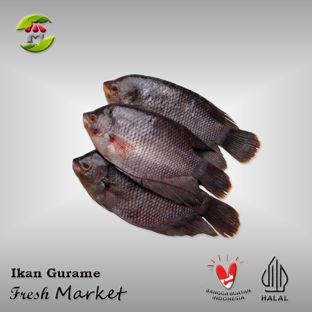 

[DEPOK] Ikan Gurame Forzen Pack 600gr - 700gr