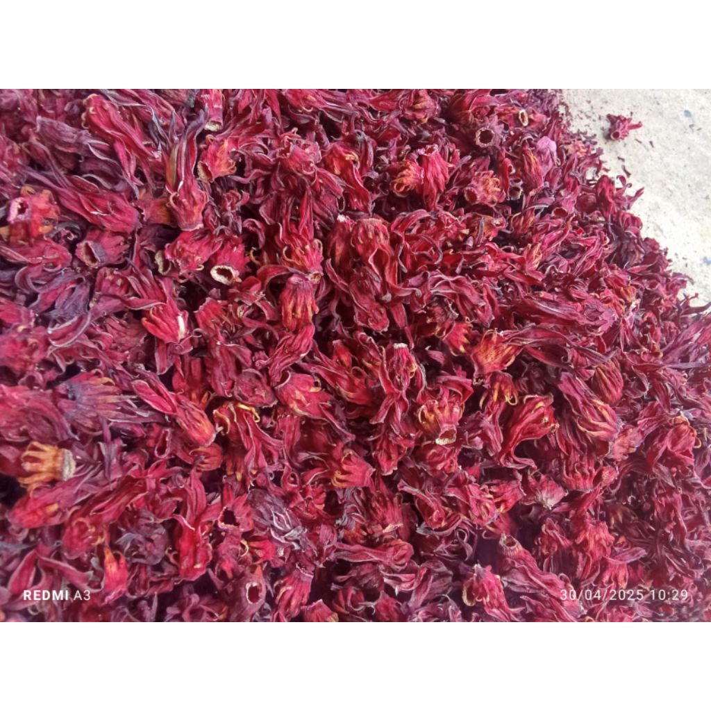 

bunga rosela merah kering 1 kg panen baru great a kualitas premium