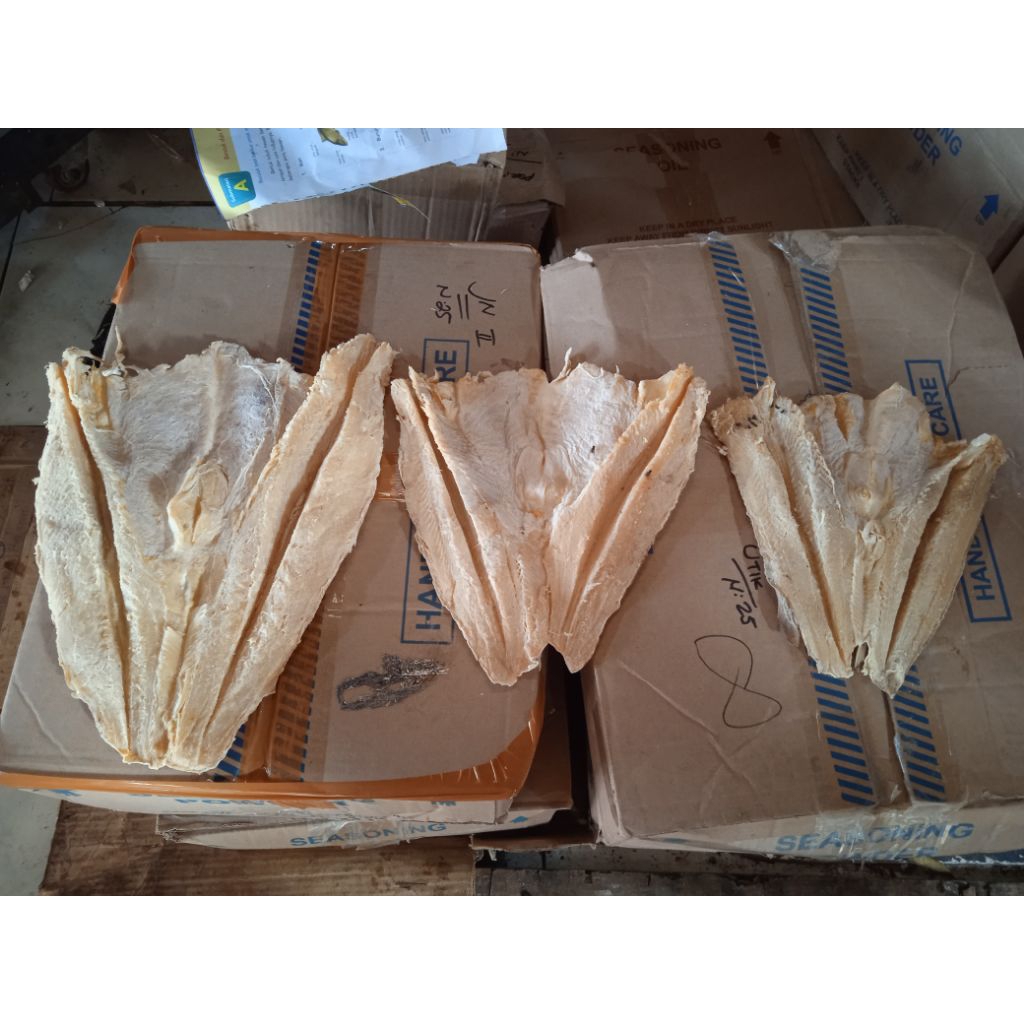 

Ikan Asin Jambal Roti Asin Jambal Asin Jambal
