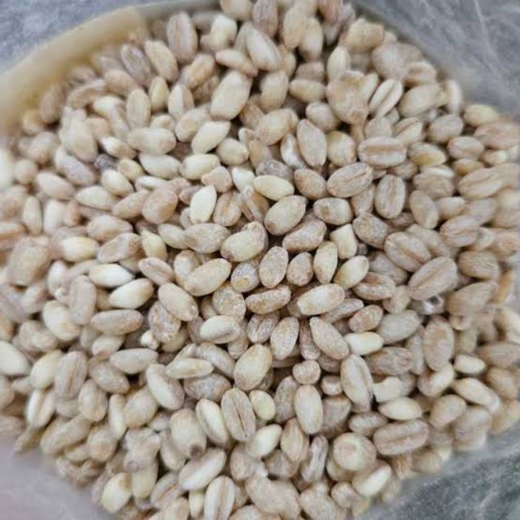 

Organic Natural Pearl Barley 500gram / Biji Jali Jali