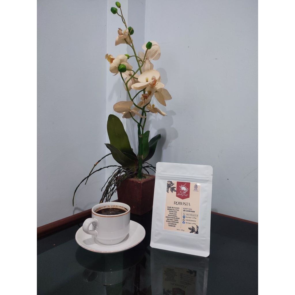 

KOPI ROBUSTA GREAT 1