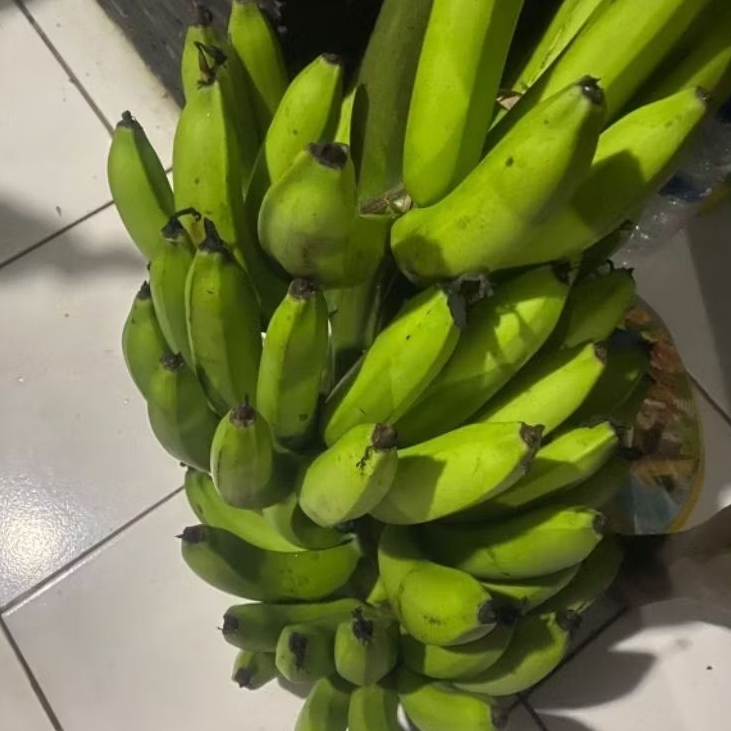 

Buah Pisang Mentah MSC Pisang Bangkaulu
