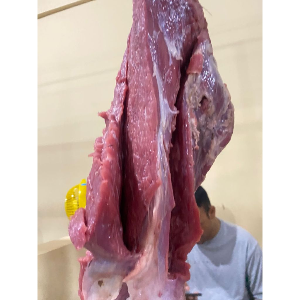 

Daging Sapi Paha Belakang 500 Gram