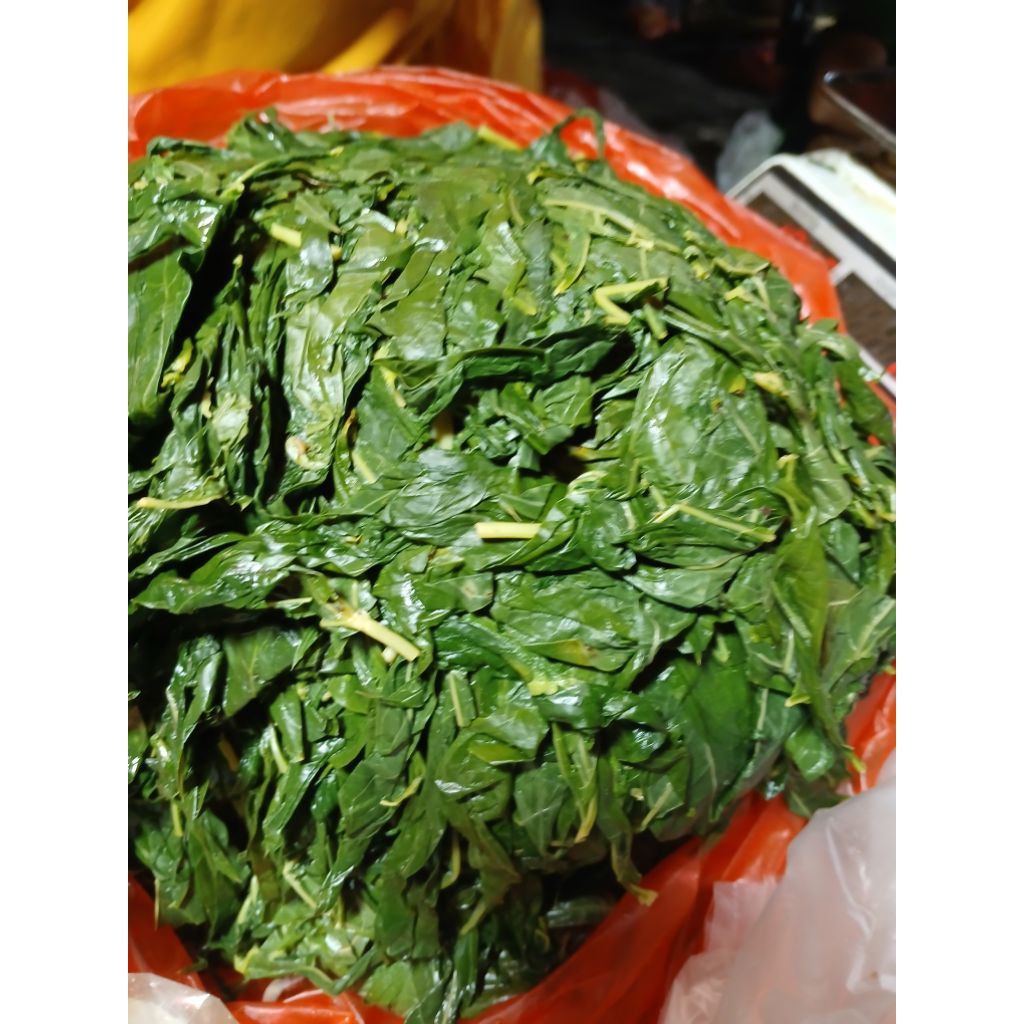 

DAUN SINGKONG REBUS / MATANG 250 - 500GRAM