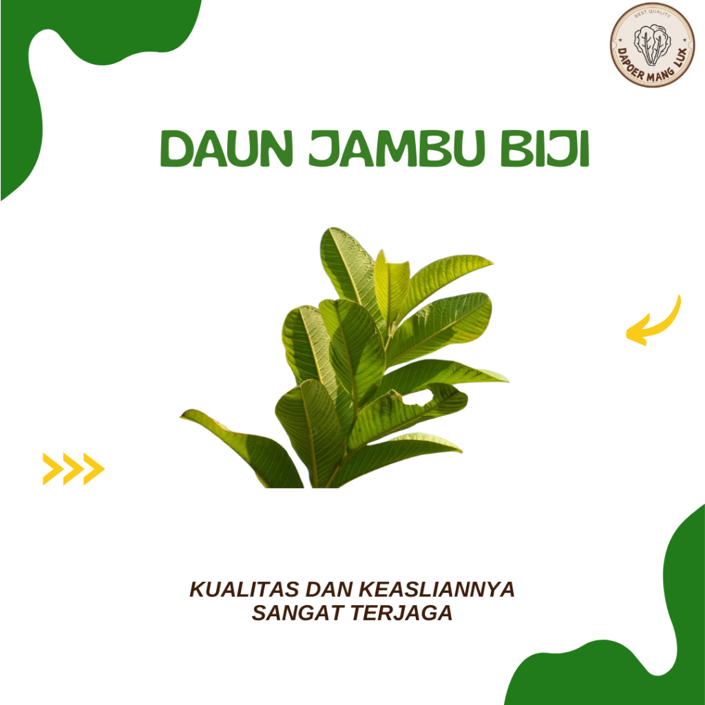 

OBAT HERBAL JAMBU BIJI BEST