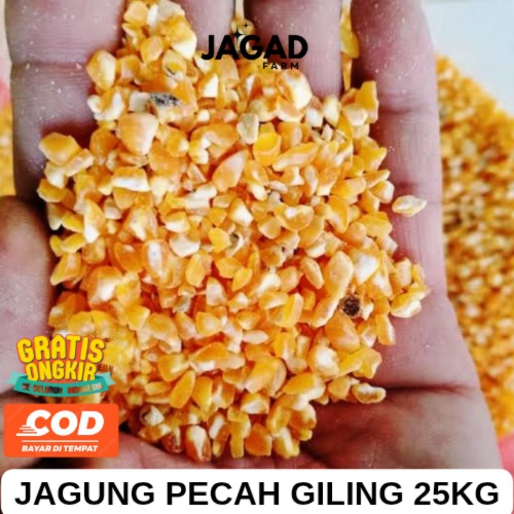 

JAGUNG PECAH GILING MENIRAN 25KG UNTUK CAMPURAN PAKAN TERNAK AYAM & BURUNG