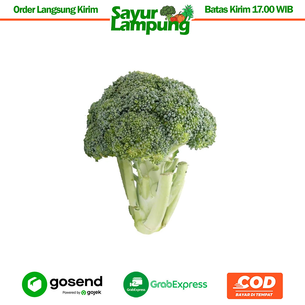

Brokoli 1 Kg - Sayur Lampung