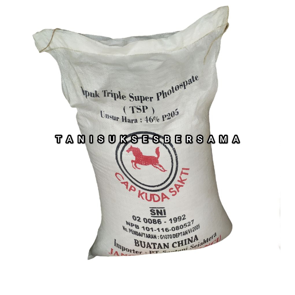 pupuk tsp cap kuda 1 kg memperbesar buah