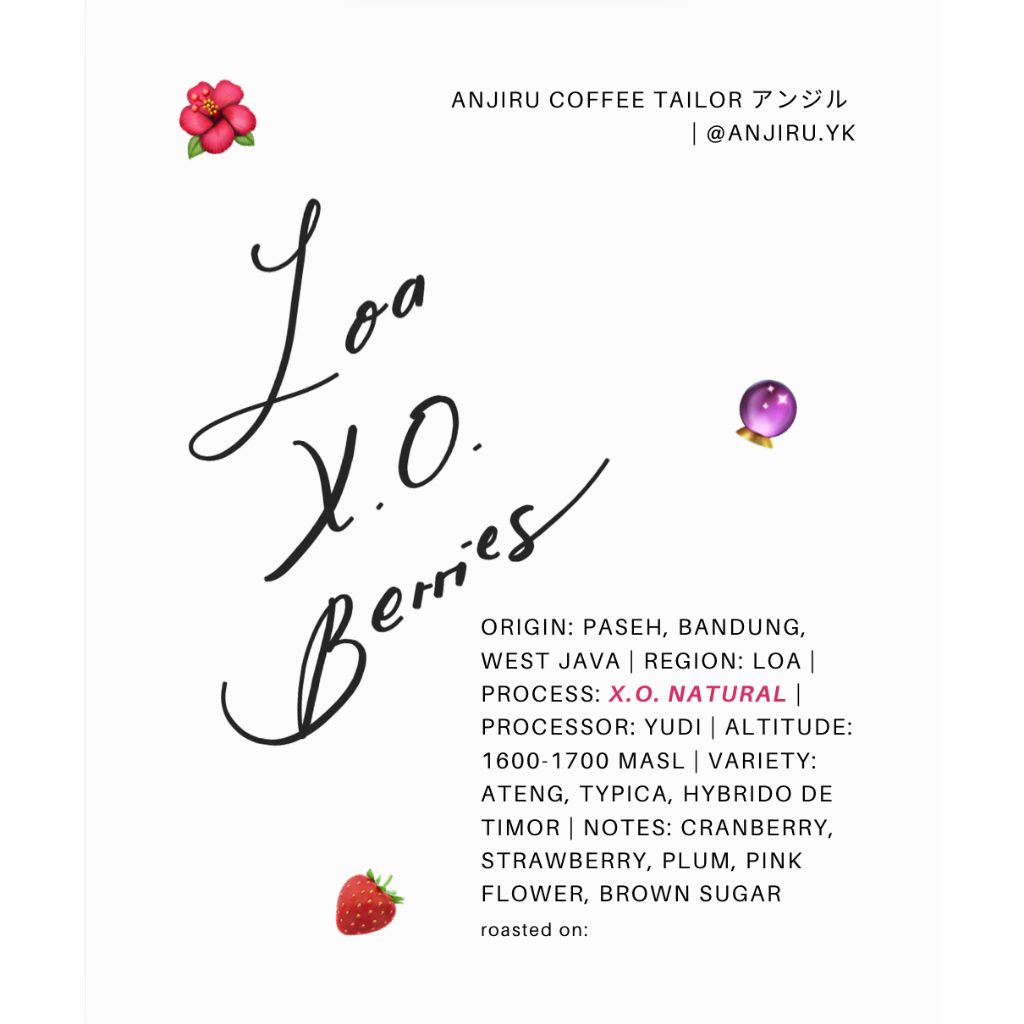

Loa X.O. Berries - Kopi Arabika Loa Paseh West Java X.O. Natural Filter Roast Coffee Single Origin (BIJI/BUBUK)
