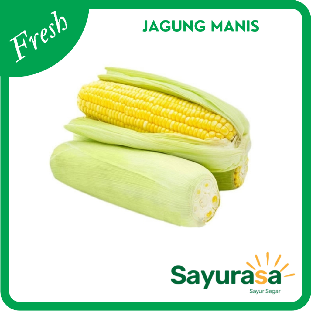 

Jagung Manis Segar 1 pcs / Jagung Manis Fresh 1 Buah (Sayur Segar)