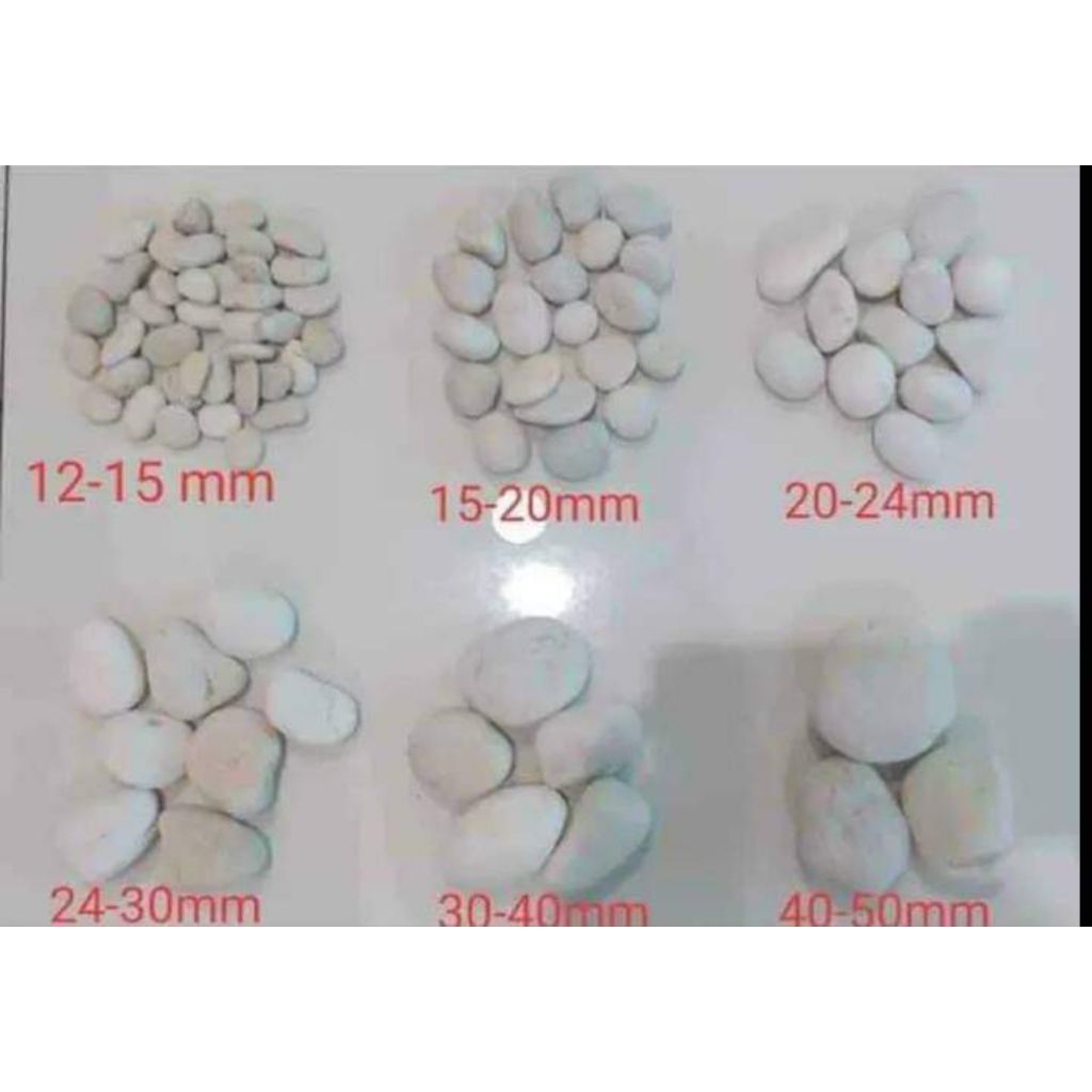 Batu koral putih untuk taman