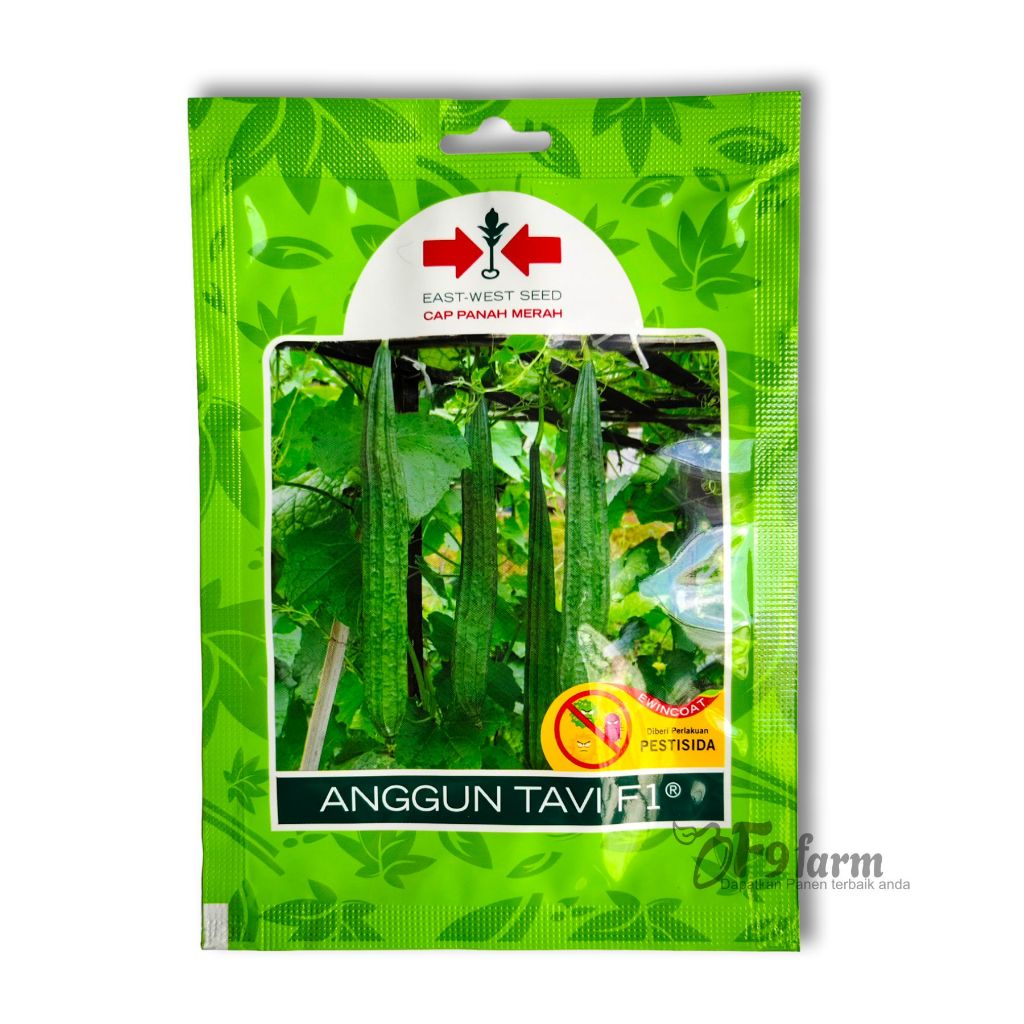 Benih Gambas Oyong Anggun Tavi 20 Biji Cap Panah Merah