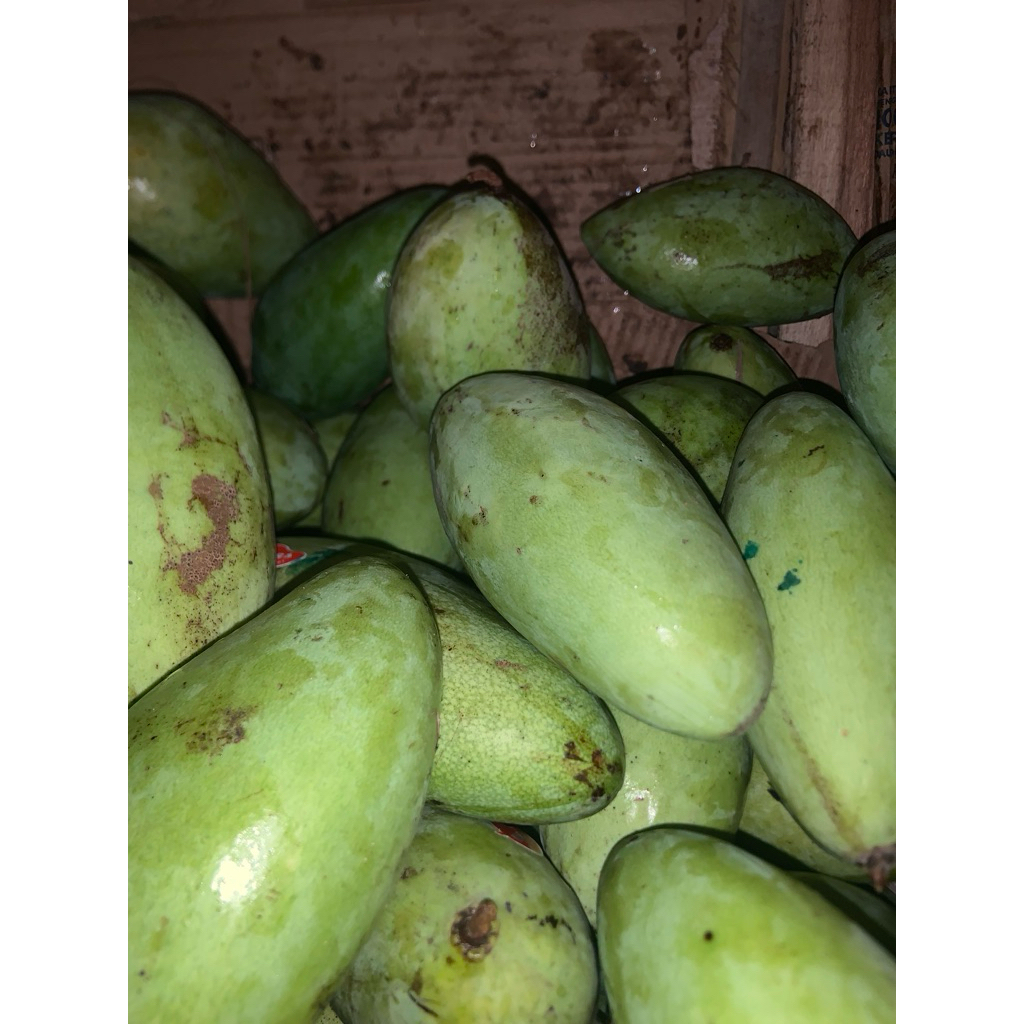 

MANGGA MUDA/RUJAK FRESH BUAH PILIHAN TERBAIK