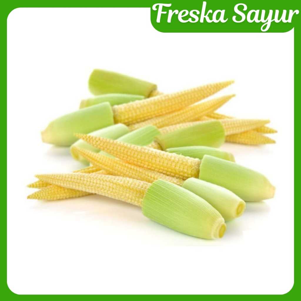 

Jagung Muda Putren 1 Pack I Pilihan Terbaik Untuk Tumis dan Capcay